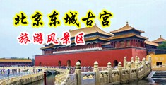 用力操逼逼中国北京-东城古宫旅游风景区